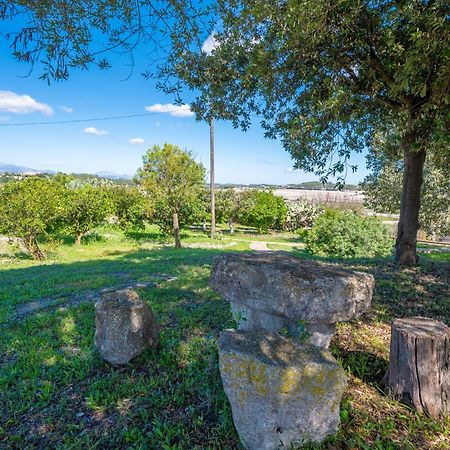 Finca Es Rafal, Agroturisme Montuiri  Dış mekan fotoğraf